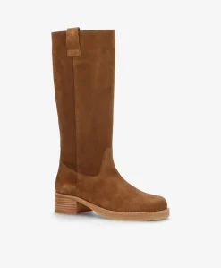 CAMERON LONG S - Nøddebrun ruskind - Lang støvle Dame