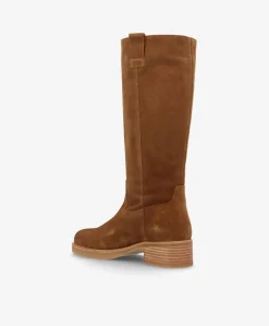 CAMERON LONG S - Nøddebrun ruskind - Lang støvle Dame