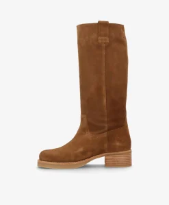 CAMERON LONG S - Nøddebrun ruskind - Lang støvle Dame