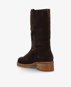 CAMERON S - Mørkebrun ruskind - Høj støvle Dame