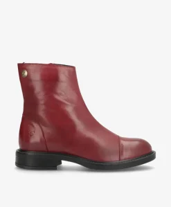 DAYTON - Bordeaux læder - Ankelstøvler Dame