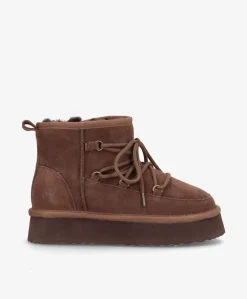 DUMBLE XL LACE - Dame Bamsestøvle med snøre - Mørkebrun ruskind