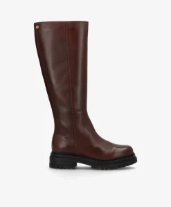 EVEREST O - Mørkebrun læder - Lange støvler Dame