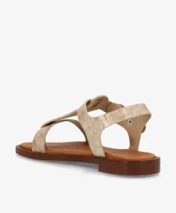 EVITA - Sandal - Beige croco