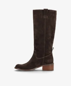 MARTINA LONG S - Mørkebrun ruskind - Lang støvle Dame
