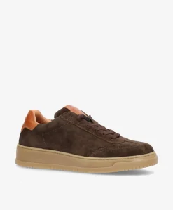 PRIME PULSE SS - Mørkebrun ruskind - Sneakers low Dame