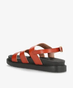 Sandal - Camel - 5108